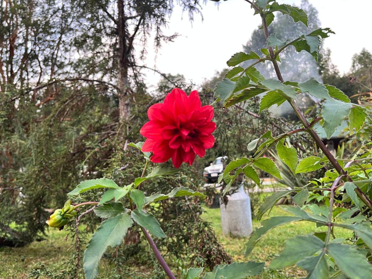 Entre Esteros Hornopiren Dış mekan fotoğraf