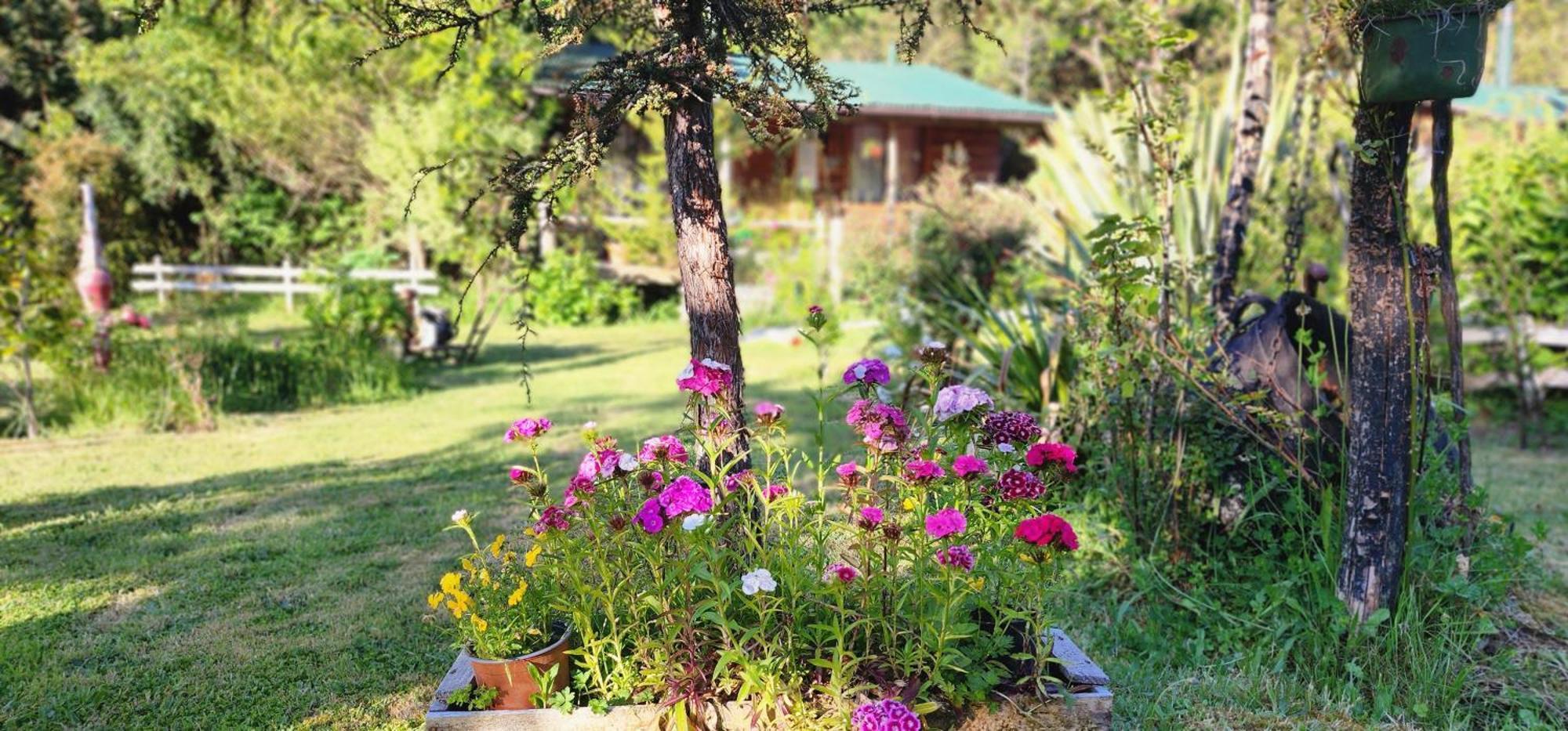 Entre Esteros Hornopiren Dış mekan fotoğraf